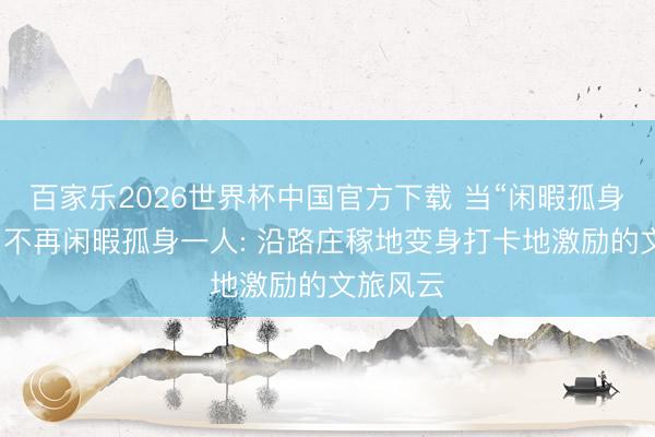 百家乐2026世界杯中国官方下载 当“闲暇孤身一人树”不再闲暇孤身一人: 沿路庄稼地变身打卡地激励的文旅风云